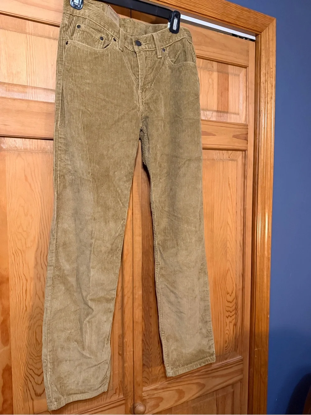 Levi's Men's Olive Corduroy Pants